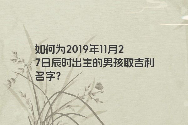 如何为2019年11月27日辰时出生的男孩取吉利名字？