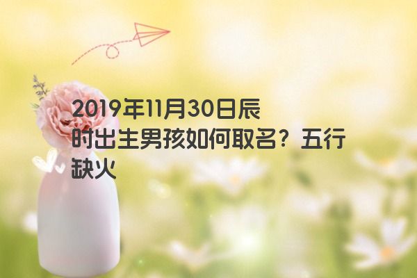 2019年11月30日辰时出生男孩如何取名？五行缺火