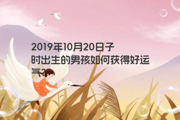 2019年10月20日子时出生的男孩如何获得好运气？