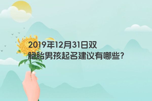 2019年12月31日双胞胎男孩起名建议有哪些? 2019年12月31日双胞胎男孩起名建议有哪些?