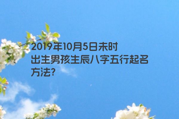 2019年10月5日未时出生男孩生辰八字五行起名方法？