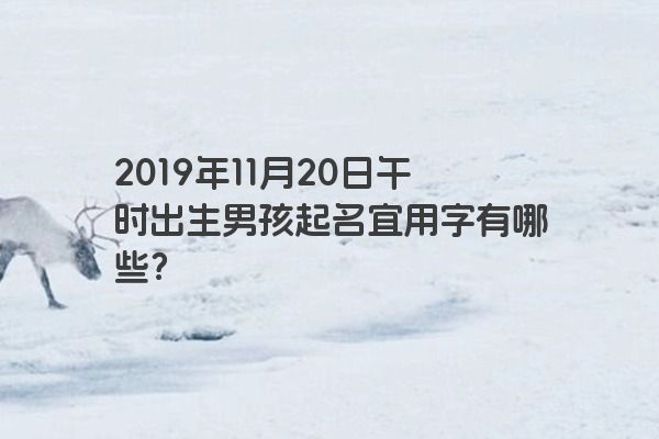 2019年11月20日午时出生男孩起名宜用字有哪些？