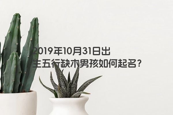 2019年10月31日出生五行缺木男孩如何起名？