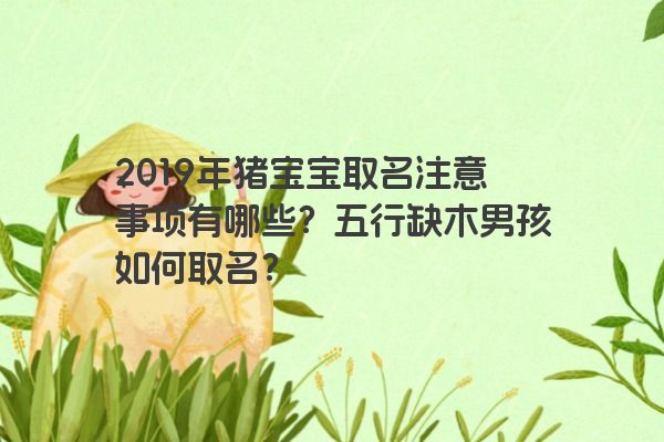 2019年猪宝宝取名注意事项有哪些？五行缺木男孩如何取名？