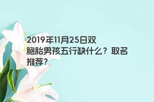 2019年11月25日双胞胎男孩五行缺什么？取名推荐？