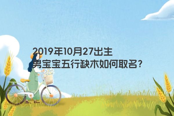2019年10月27出生男宝宝五行缺木如何取名？