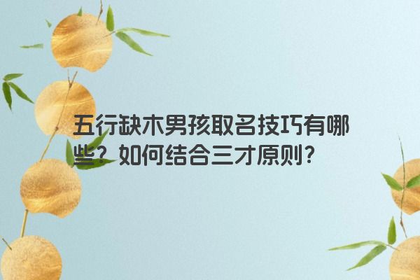 五行缺木男孩取名技巧有哪些？如何结合三才原则？