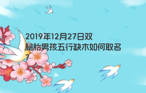 2019年12月27日双胞胎男孩五行缺木如何取名? 2019年12月27日双胞胎男孩五行缺木如何取名?
