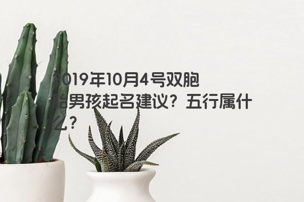 2019年10月4号双胞胎男孩起名建议？五行属什么？