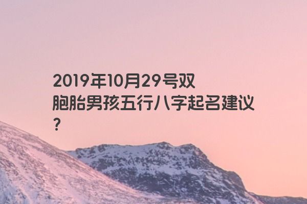 2019年10月29号双胞胎男孩五行八字起名建议？