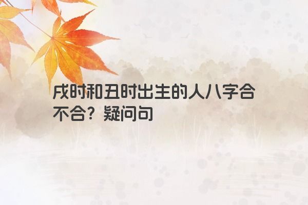 戌时和丑时出生的人八字合不合？疑问句