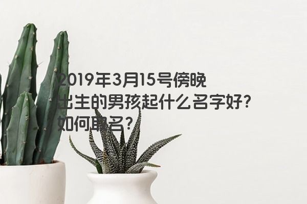 2019年3月15号傍晚出生的男孩起什么名字好？如何取名？