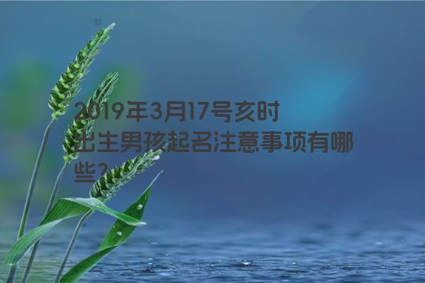 2019年3月17号亥时出生男孩起名注意事项有哪些? 2019年3月17号亥时出生男孩起名注意事项有哪些?