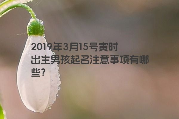 2019年3月15号寅时出生男孩起名注意事项有哪些？