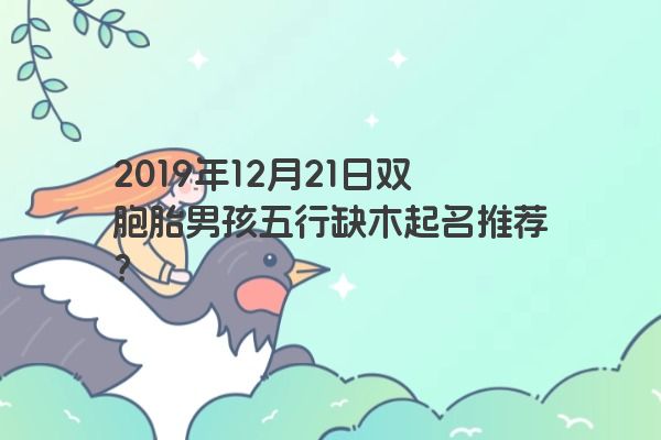 2019年12月21日双胞胎男孩五行缺木起名推荐? 2019年12月21日双胞胎男孩五行缺木起名推荐?