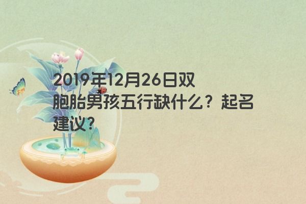 2019年12月26日双胞胎男孩五行缺什么?起名建议? 2019年12月26日双胞胎男孩五行缺什么?起名建议?