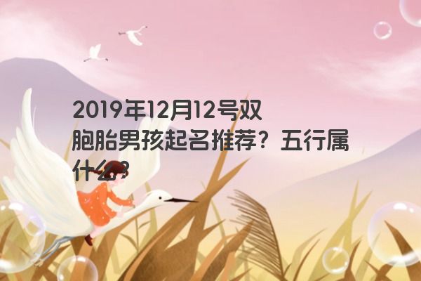 2019年12月12号双胞胎男孩起名推荐？五行属什么？