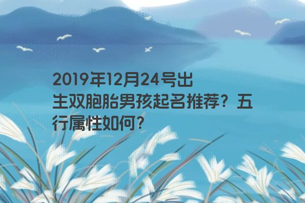 2019年12月24号出生双胞胎男孩起名推荐?五行属性如何? 2019年12月24号出生双胞胎男孩起名推荐?五行属性如何?