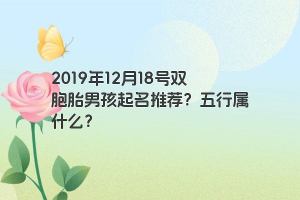 2019年12月18号双胞胎男孩起名推荐?五行属什么? 2019年12月18号双胞胎男孩起名推荐?五行属什么?
