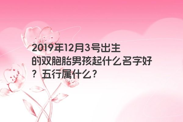 2019年12月3号出生的双胞胎男孩起什么名字好？五行属什么？
