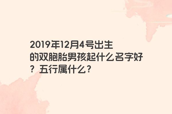 2019年12月4号出生的双胞胎男孩起什么名字好？五行属什么？