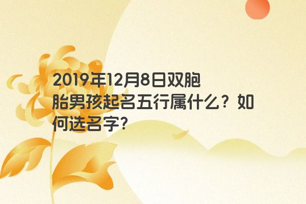 2019年12月8日双胞胎男孩起名五行属什么?如何选名字? 2019年12月8日双胞胎男孩起名五行属什么?如何选名字?