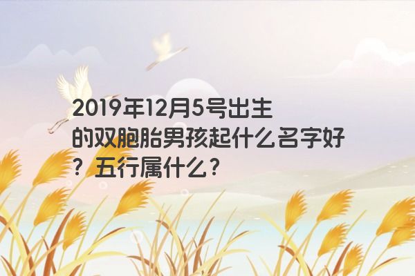 2019年12月5号出生的双胞胎男孩起什么名字好？五行属什么？