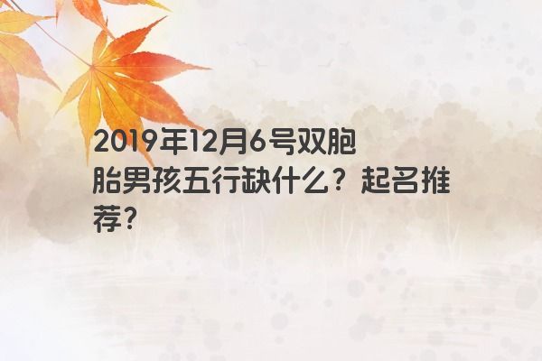 2019年12月6号双胞胎男孩五行缺什么?起名推荐? 2019年12月6号双胞胎男孩五行缺什么?起名推荐?