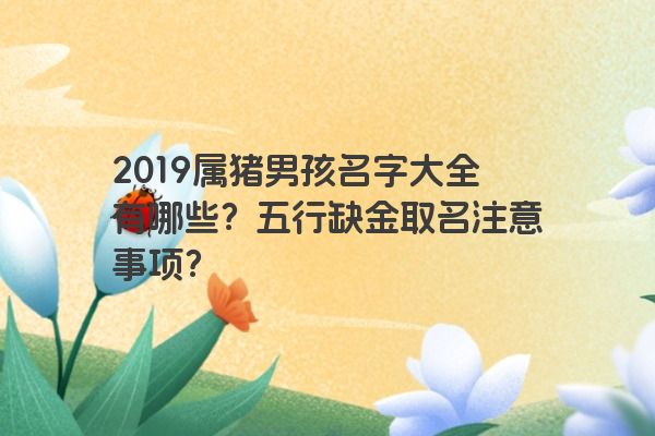 2019属猪男孩名字大全有哪些？五行缺金取名注意事项？