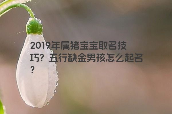 2019年属猪宝宝取名技巧？五行缺金男孩怎么起名？