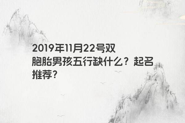 2019年11月22号双胞胎男孩五行缺什么？起名推荐？