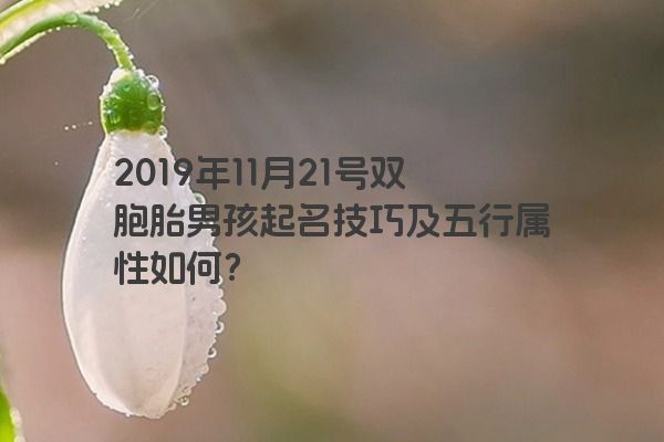 2019年11月21号双胞胎男孩起名技巧及五行属性如何？