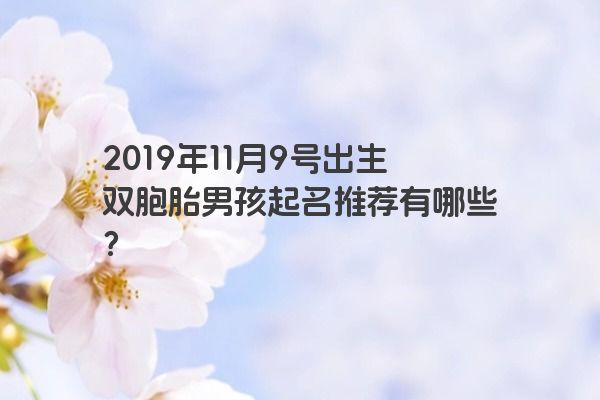 2019年11月9号出生双胞胎男孩起名推荐有哪些？