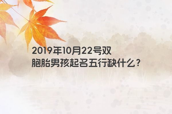 2019年10月22号双胞胎男孩起名五行缺什么？