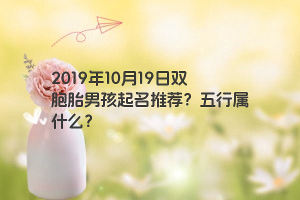 2019年10月19日双胞胎男孩起名推荐？五行属什么？