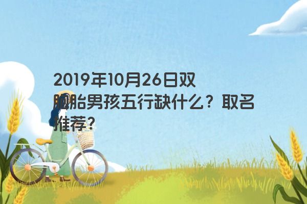 2019年10月26日双胞胎男孩五行缺什么？取名推荐？