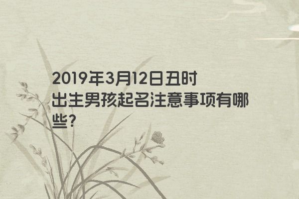 2019年3月12日丑时出生男孩起名注意事项有哪些？