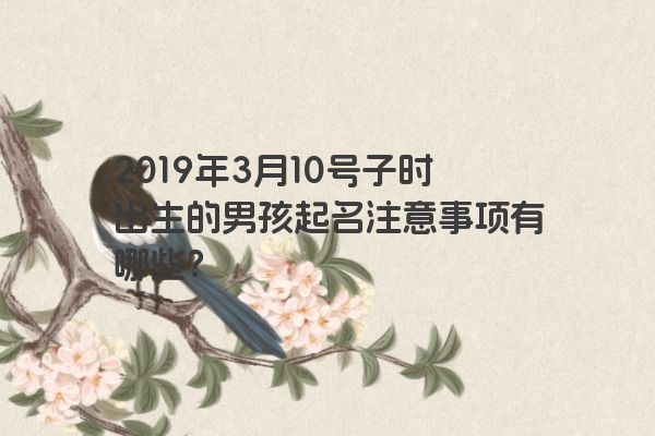 2019年3月10号子时出生的男孩起名注意事项有哪些? 2019年3月10号子时出生的男孩起名注意事项有哪些?
