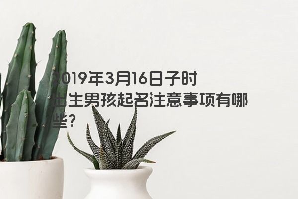 2019年3月16日子时出生男孩起名注意事项有哪些? 2019年3月16日子时出生男孩起名注意事项有哪些?