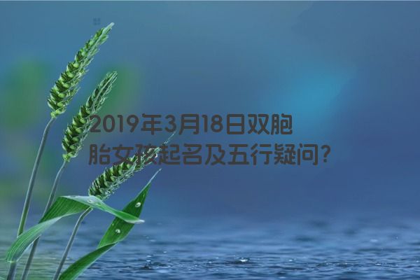 2019年3月18日双胞胎女孩起名及五行疑问? 2019年3月18日双胞胎女孩起名及五行疑问?