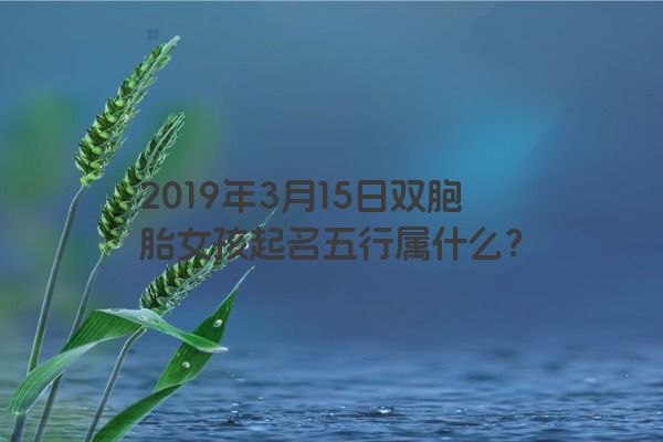 2019年3月15日双胞胎女孩起名五行属什么？