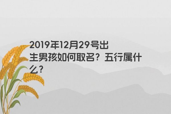 2019年12月29号出生男孩如何取名?五行属什么? 2019年12月29号出生男孩如何取名?五行属什么?