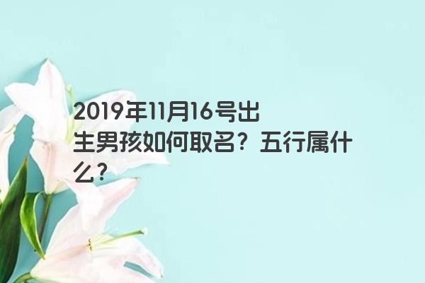 2019年11月16号出生男孩如何取名？五行属什么？