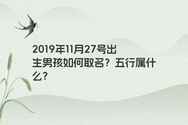 2019年11月27号出生男孩如何取名？五行属什么？
