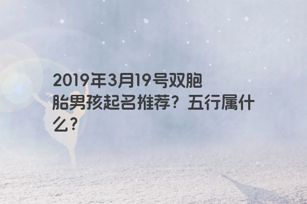 2019年3月19号双胞胎男孩起名推荐?五行属什么? 2019年3月19号双胞胎男孩起名推荐?五行属什么?