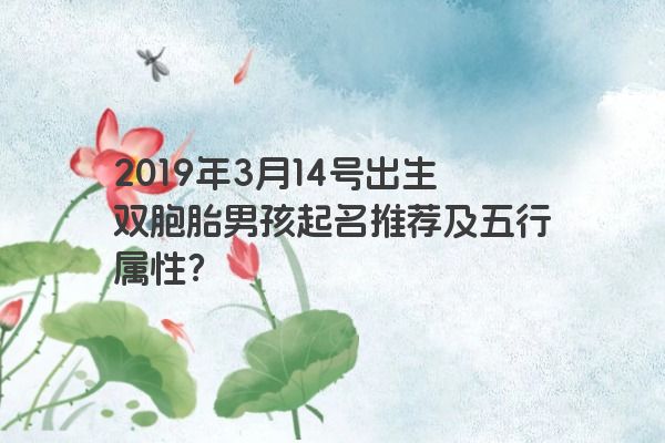 2019年3月14号出生双胞胎男孩起名推荐及五行属性？