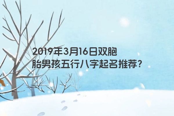 2019年3月16日双胞胎男孩五行八字起名推荐？