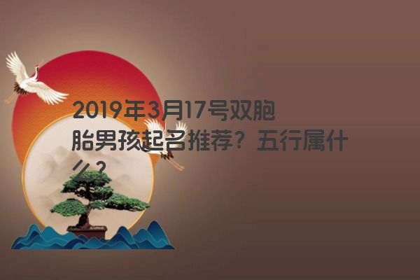 2019年3月17号双胞胎男孩起名推荐?五行属什么? 2019年3月17号双胞胎男孩起名推荐?五行属什么?