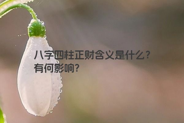八字四柱正财含义是什么？有何影响？