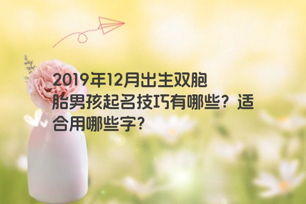 2019年12月出生双胞胎男孩起名技巧有哪些？适合用哪些字？